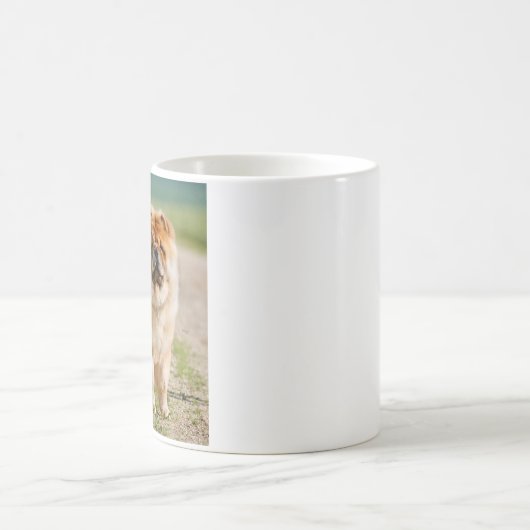 Mug Mojo Chow (Centre)