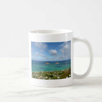 Mug Moks outre du rivage de Lanikai