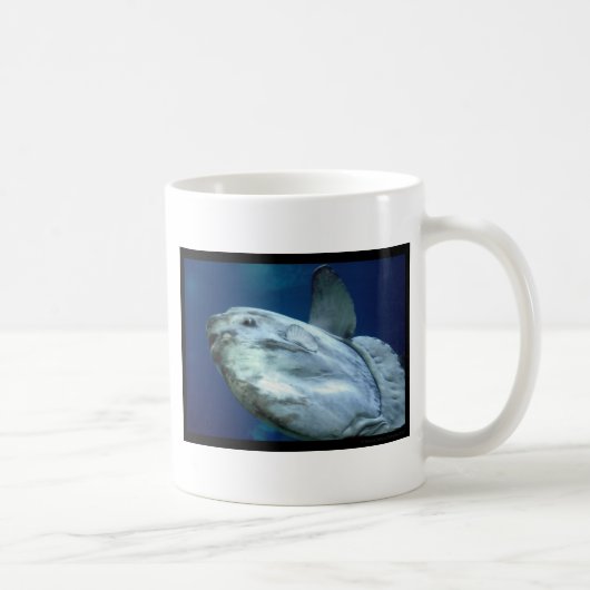 Mug Mola 001 de Mola de Sunfish (Droite)