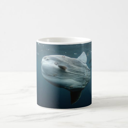 Mug Mola Mola (Centre)