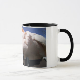 Mug Moluquois heureux