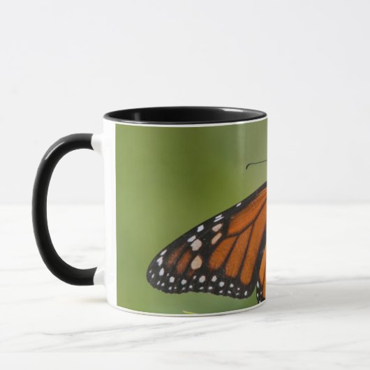 Mug Monarque papillon mâle sur le marécage Milkweed (Gauche)