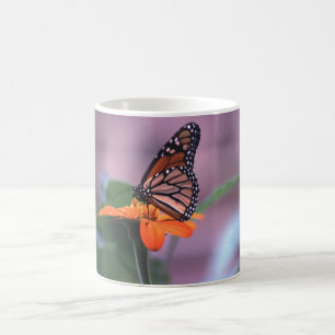 Mug Monarque sur tournesol mexicain