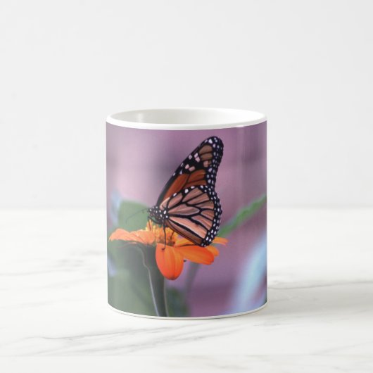 Mug Monarque sur tournesol mexicain (Centre)