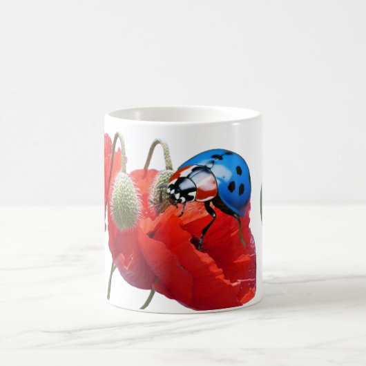 Mug Monde de Ladybug (Centre)
