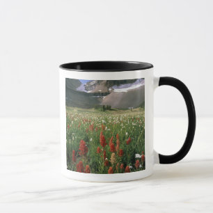 MUG MONT TIMPANOGOS WILDERNESS, UTU,