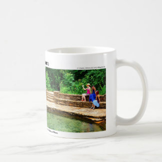 Mug Montagnes d'Arbuckle II - magie d'une cascade,