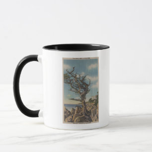 Mug Monterey, CA - vieil arbre de sorcière sur 17