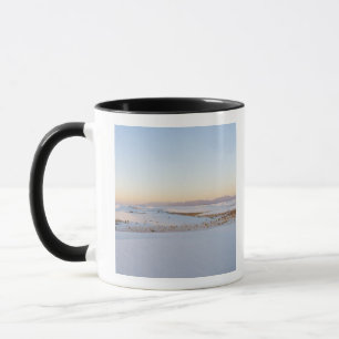 Mug Monument national de White Sands, Dunes transversa