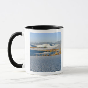Mug Monument national de White Sands, Dunes transversa