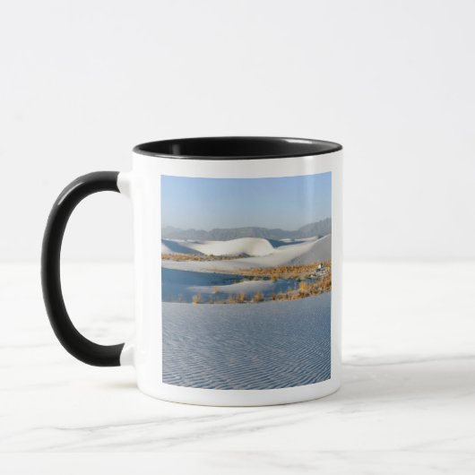 Mug Monument national de White Sands, Dunes transversa (Gauche)