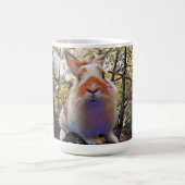 Mug Morphée Bunny (Centre)