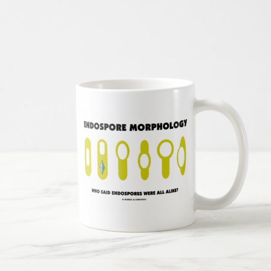 Mug Morphologie d'Endospore - qui a indiqué était tout (Droite)