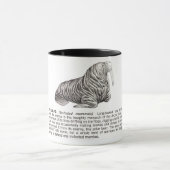 Mug morse (Centre)