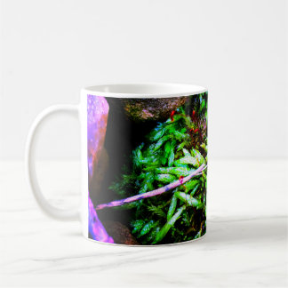 Mug Moss on Rocks