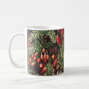 Mug Mosses, Muscinae Laubmoose par Ernst Haeckel