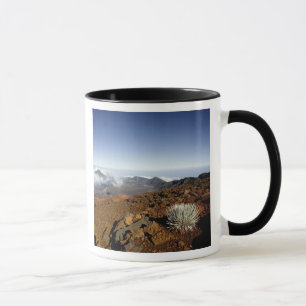 Mug Mot d'argent sur la rime du cratère de Haleakala 