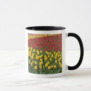 Mug Motif de jardin de tulipes, Jardins de Keukenhof,