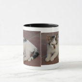 Mug Mouche de chaton (Centre)