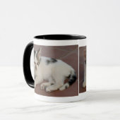 Mug Mouche de chaton (Devant gauche)