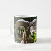 Mug Mouflon Ram (Devant gauche)