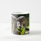 Mug Mouflon Ram (Centre)