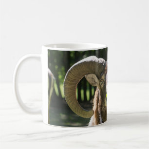 Mug Mouflon Ram