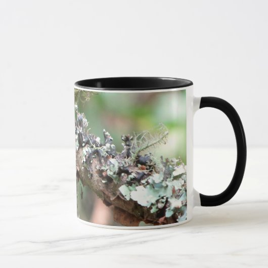 Mug Mousse et lichens (Droite)