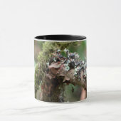 Mug Mousse et lichens (Centre)