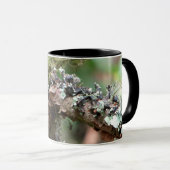 Mug Mousse et lichens (Devant droit)