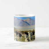 Mug mouton chilien (Centre)