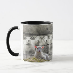 Mug Mouton d'agneau de bébé