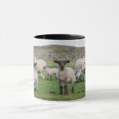Mug Mouton des Shetland (Centre)