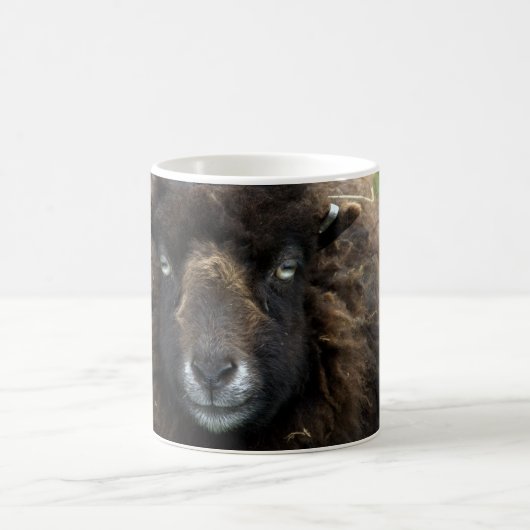 Mug Moutons (Centre)