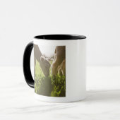Mug Moutons frôlant dans l'herbe (Devant gauche)