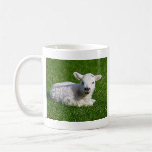 Mug Moutons mignons de bébé se situant dans l'herbe