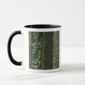 Mug Mt. Ashland, forêt nationale de Rogue River, (Gauche)