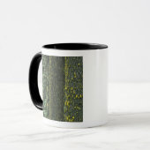 Mug Mt. Ashland, forêt nationale de Rogue River, (Devant gauche)