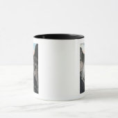 Mug Mt Rainier, Washington - Vue des chutes Sluiskin (Centre)