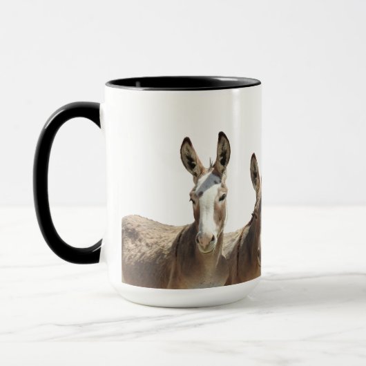 Mug Mug, burros sauvages, ânes, faune, nature (Gauche)