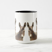 Mug Mug, burros sauvages, ânes, faune, nature (Centre)