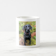 Mug-Chien Personnalisé - Le cadeau de Dernière min
