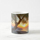 Mug Mug, olivier, coucher de soleil, vue sur mer. (Centre)