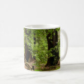 Mug Muir Woods Path II Nature Photography (Devant droit)