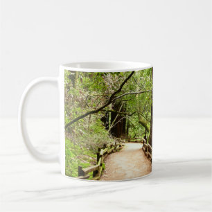 Mug Muir Woods Path II Nature Photography