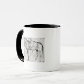 Mug Mule, de l'album de Vallardi (Devant gauche)