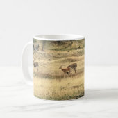 Mug Mule Deer in a Field, Joseph, Oregon (Devant gauche)