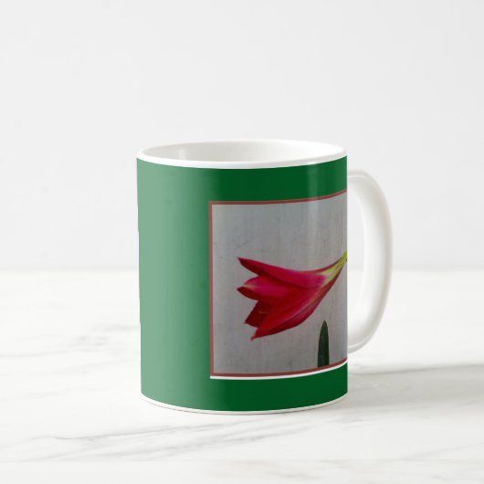 Mug muqueuse (Devant droit)