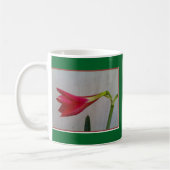 Mug muqueuse (Gauche)