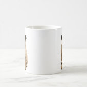 Mug muqueuse (Centre)